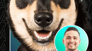 Artplay - AI Photo & Video