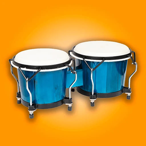 Congas & Bongos: percussions
