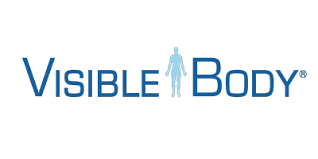 VISIBLE BODY